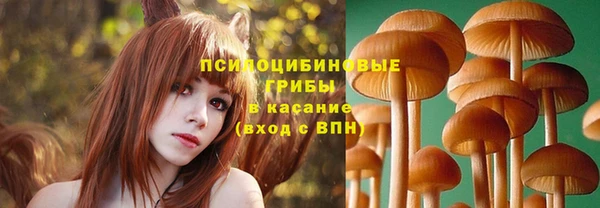 стаф Алексин