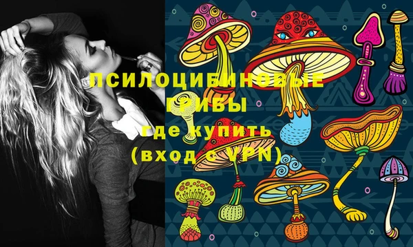 стаф Алексин