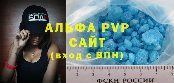 стаф Алексин